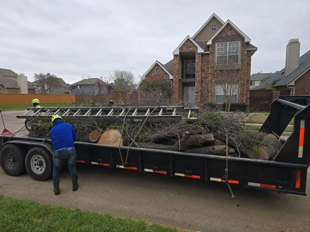 Expert Lot Clearing with proper safety equipment in Buchanan